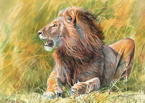 Mara Lion